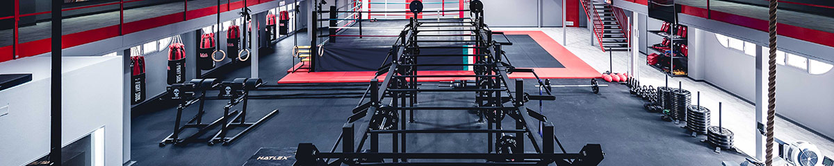 Box CrossFit 1505 a Reggio Emilia